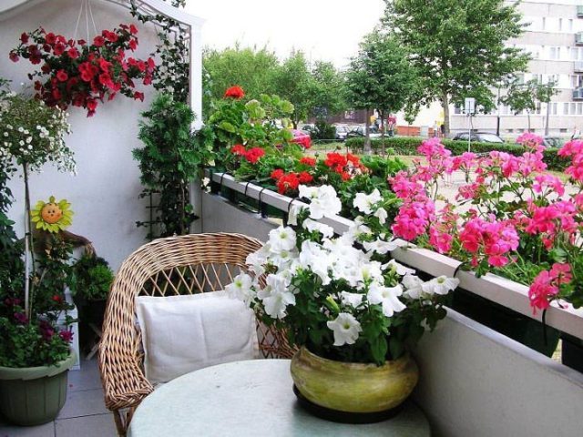 Bỏ túi những kinh nghiệm quý báu để trang trí hoa ban công