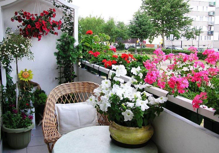 Bỏ túi những kinh nghiệm quý báu để trang trí hoa ban công
