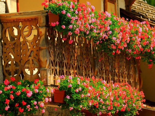 Cùng ngắm nhìn những mẫu ban công đầy hoa tuyệt đẹp