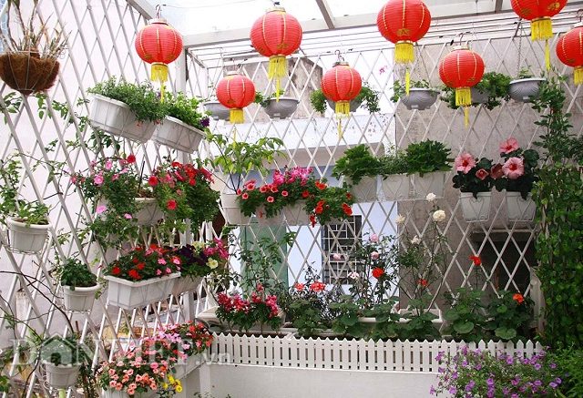 Thiết kế vườn hoa ban công lôi cuốn đầy màu sắc