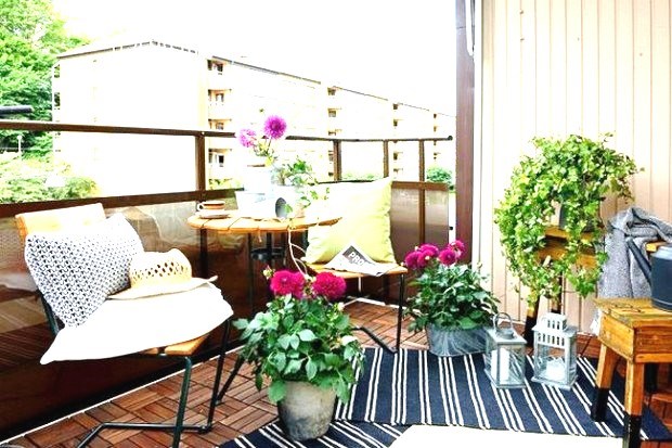 Trồng cây ở ban công chung cư không khó để lựa chọn