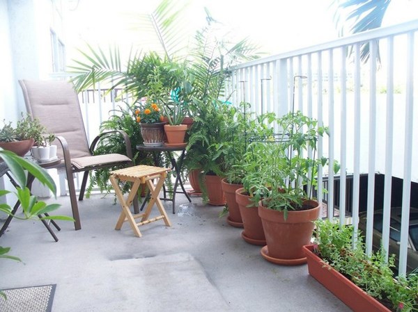 12 loại cây trồng ngoài ban công nhà tốt cho phong thủy đem lại tài vận cho gia chủ