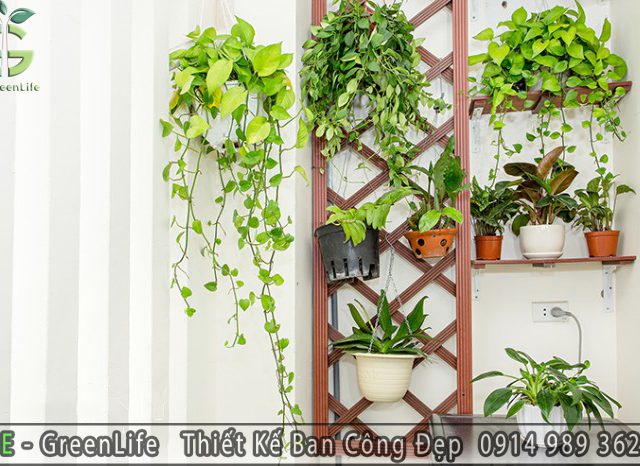 Mẫu ban công đẹp combo 5 nhà anh Tộ đường Khuất Duy Tiến