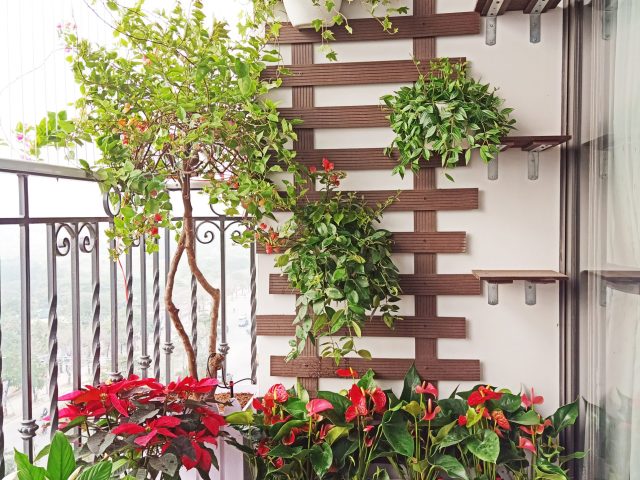 Chậu hàng rào gỗ nhựa composite trắng trang trí ban công (Hà Nội)
