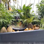 Trang Trí Ban Công Nhà chị Thúy Anh Tại Chung Cư Discovery 302 Cầu Giấy, Hà Nội