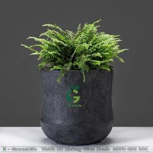 CHẬU COMPOSITE BẢO KHÁNH