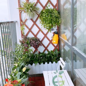 Giàn hoa gỗ tếch ban công loại đan chéo