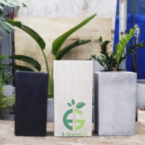 Chậu Xi Măng Nhẹ Hình Trụ Vuông