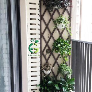 Giàn treo quả trám ban công ECO 005