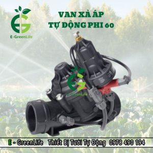 Van xả áp tự động phi 60