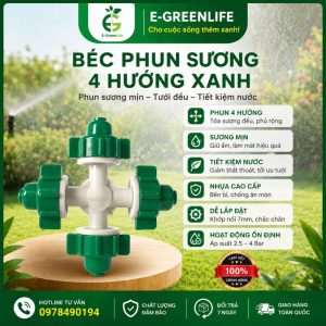 Béc phun sương 4 hướng xanh
