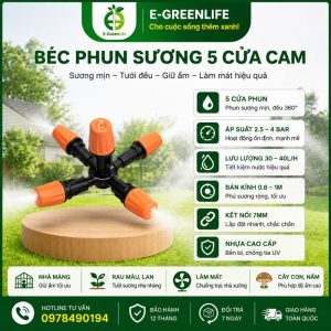 Béc phun sương cam 5 cửa