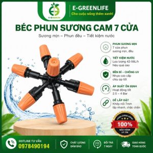 Béc phun sương cam 7 cửa