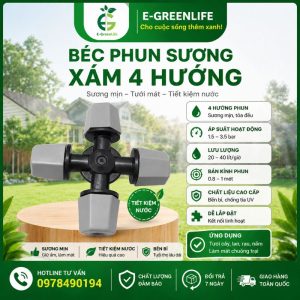Béc phun sương xám 4 hướng