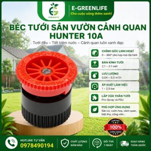 Béc tưới sân vườn cảnh quan Hunter 10A