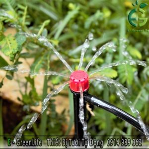 QUE CẮM NHỎ GIỌT 8 TIA
