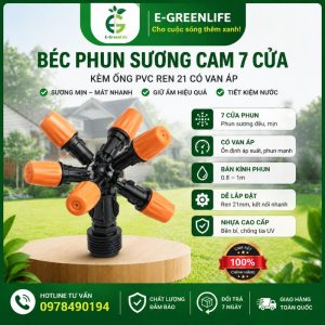 Bộ béc phun sương cam 7 cửa kèm ống PVC ren 21 có van áp