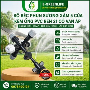 Bộ béc phun sương xám 5 cửa kèm ống PVC ren 21 có van áp