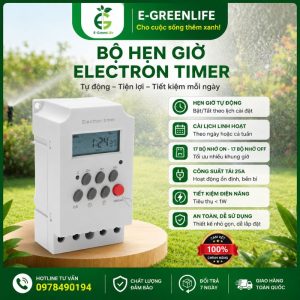 Bộ hẹn giờ Electron Timer
