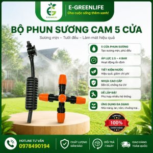 Bộ phun sương cam 5 cửa