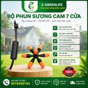 Bộ phun sương cam 7 cửa
