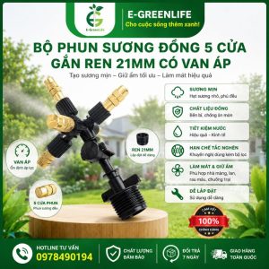 Bộ phun sương đồng 5 cửa gắn ren 21mm có van áp