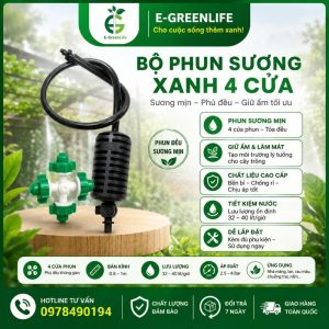 Bộ phun sương xanh 4 cửa