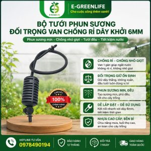 Bộ tưới phun sương đối trọng van chống rỉ dây khởi 6mm