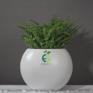 Chậu Composite Dáng Tròn Bầu Phúc Lộc