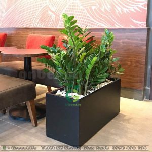 Chậu Composite Dáng Chữ Nhật Grassy R1