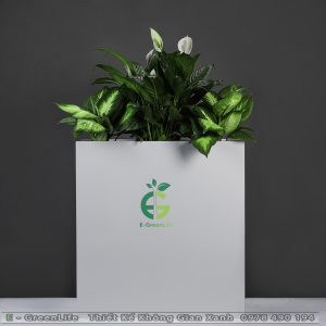 Chậu Composite Dáng Chữ Nhật Cao Grassy R2