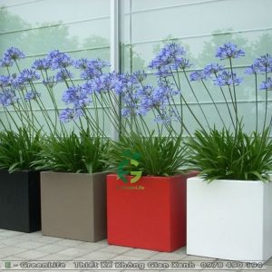 Chậu Composite Dáng Vuông Grassy S1