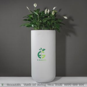 Chậu Composite Dáng Trụ Tròn Cao Bo Đáy Hải Bình