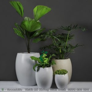 Chậu Composite Dáng Tròn Bầu Giữa Hạnh Phúc