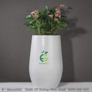 Chậu Composite Dáng Tròn Bầu Giữa Minh Quang