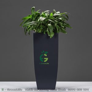 Chậu Composite Dáng Vuông Cao Vát Đáy Thịnh Vượng