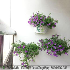 Chậu hoa nhựa ban công tiểu cảnh