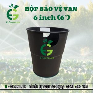 Hộp bảo vệ van 6 inch (6″)