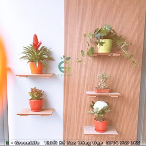 Kệ gỗ treo tường ECO 007