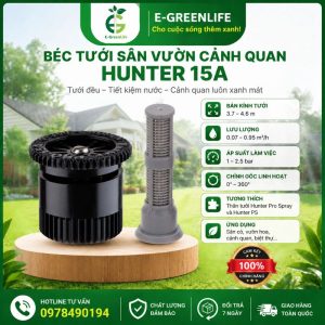 Béc tưới sân vườn cảnh quan Hunter 15A