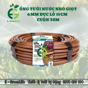 Ống tưới nhỏ giọt 6mm đục lỗ 15cm cuộn 30m