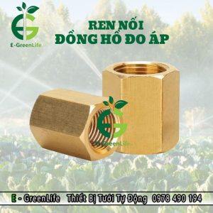 Ren nối đồng hồ đo áp