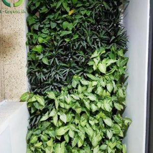 Vườn đứng, trồng cây và dịch vụ chăm sóc vườn ban công