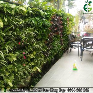Vườn tường cây thật ECO 011